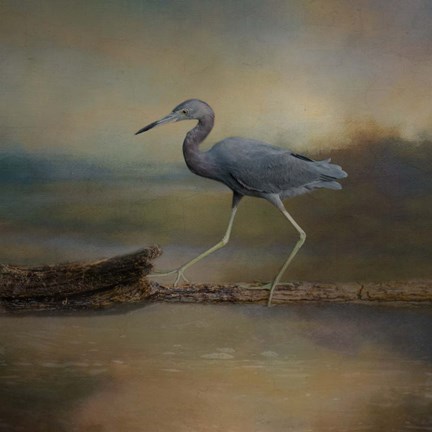 Framed Walking the Balance Beam Print