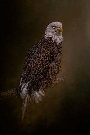 Framed Silent Warrior Print