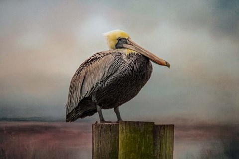 Framed Best Seat Print