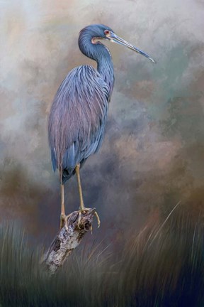 Framed Tri-Colored Beauty Print