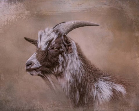 Framed Farm Friend Print