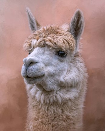 Framed Sweetness Print