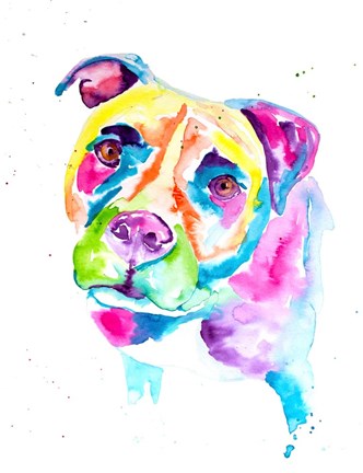 Framed Colorful Pitbull Print