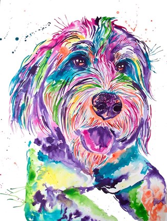 Framed Colorful Bernedoodle Print