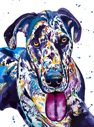 Framed Colorful Great Dane Print
