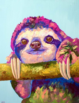 Framed Sloth Print