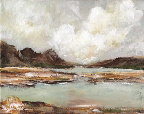 Framed Coastline Print