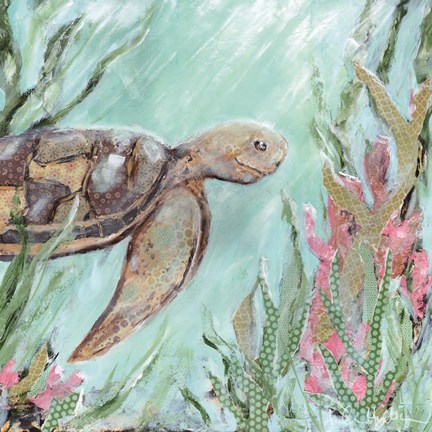 Framed Sea Turtle in Sunlight Print