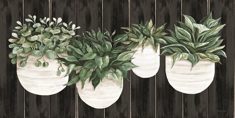 Framed Potted Plants on Barnwood Print
