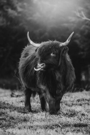 Framed Silly Cow I Print