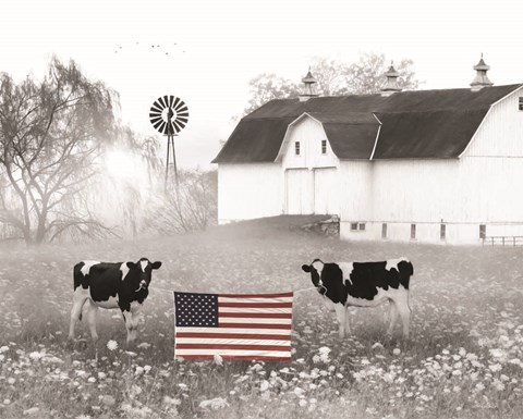 Framed Patriotic Cows Print