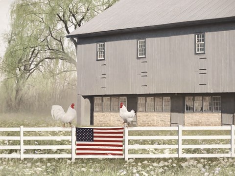 Framed Patriotic Roosters Print
