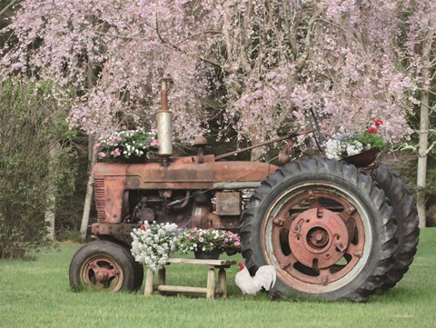 Framed Rooster in the Spring Print