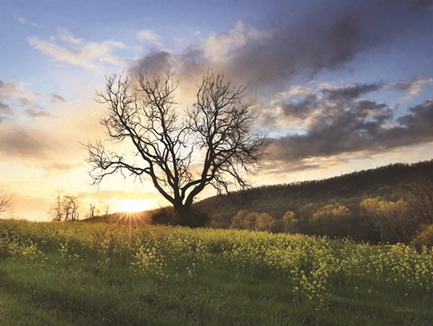 Framed Clark Valley Sunset Print