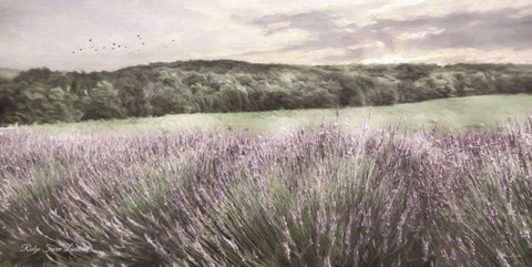 Framed Ridge Farm Lavender Print