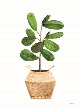 Framed Basket Planter 1 Print
