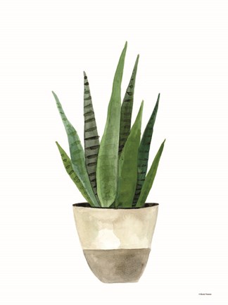 Framed Basket Planter 2 Print
