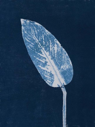 Framed Calathea Blue Print