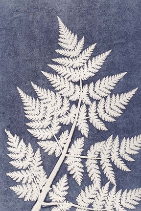 Framed Chevril 3 Print