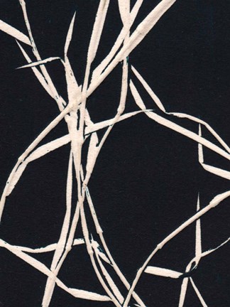 Framed Grass Detail Black Print