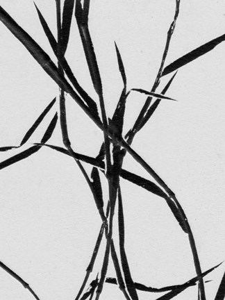 Framed Grass Detail White Print