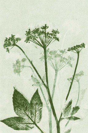 Framed Ground Elder Green Print