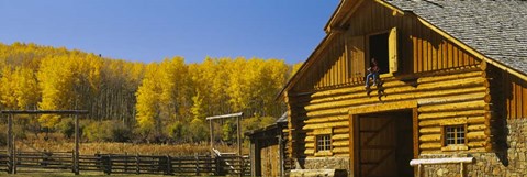 Framed Cowboy sitting on a window of a log cabin, Colorado Print