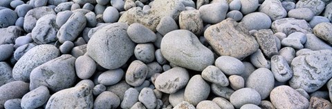 Framed Beach Rocks Acadia National Park Print