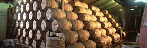 Framed Napa Wine Country Stag's LeapWine Cellars Barrel Room Print