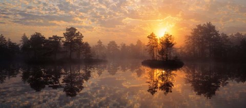Framed Knuthojdmossen Nature Reserve Sweden Print