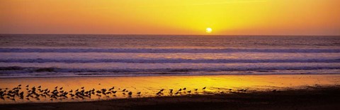 Framed Sunset near Santa Cruz Print
