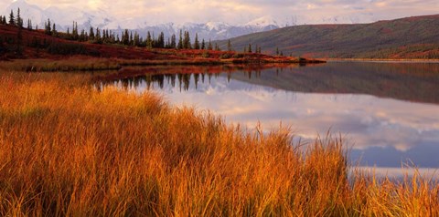 Framed Wonder Lake &amp; Alaska Range Denali National Park Print