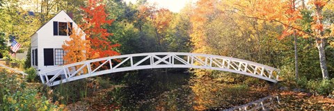 Framed Arched white footbridge Print