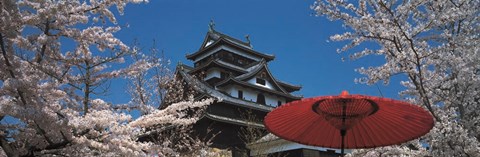Framed Cherry Blossom Matsue Castle Japan Print