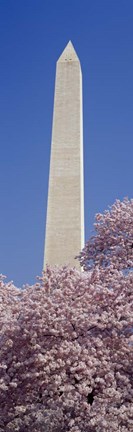 Framed Washington Monument, Washington DC Print