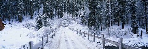 Framed Snowy Bridge Lake Tahoe Print