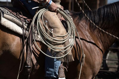 Framed Sierra Style Print