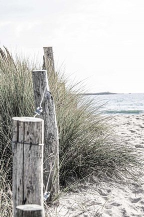 Framed Coastal V Print