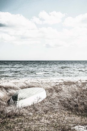 Framed Coastal I Print
