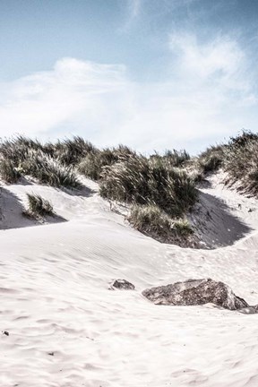 Framed Coastal IV Print