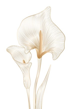 Framed Lily Line Print