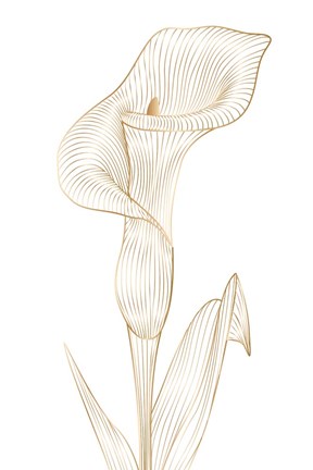 Framed Lily line I Print