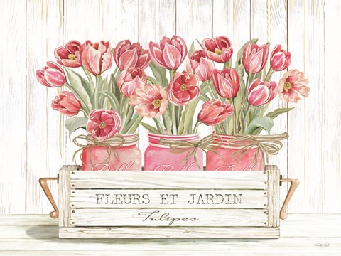 Framed Trio of Pink Tulips Print