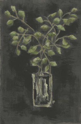 Framed Eucalyptus Print