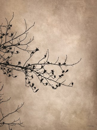 Framed At Rest in the Lake Fog Print