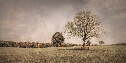 Framed Spring in the Fields Print