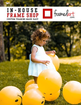 Framed Modern 22x17 Picture Frame Print