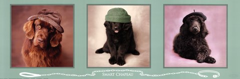 Framed Smart Chapeau Print