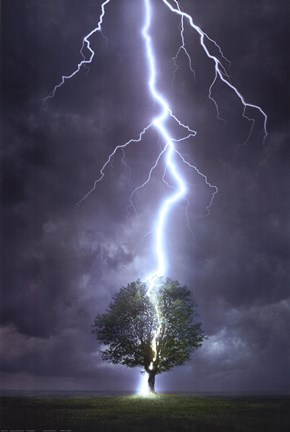 Framed Lightning Striking a Tree Print