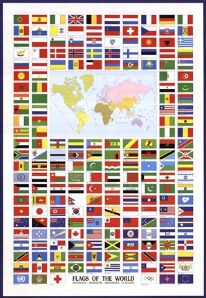 Framed Flags of the World Print